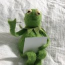 조선에 완전 귀화한 네덜란드인이 있었슨. 하멜보다도 먼저 온 네덜란드인이였슨. 이미지