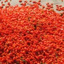 이유농장 이미지