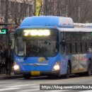 은평운수(주) 이미지