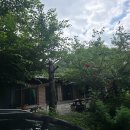 쇠똥구리황토민박