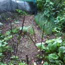 금상농장 이미지