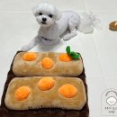 보듬약국 | 강아지 훈련용 간식 보듬숍 뽀상 트레이닝 트릿 오리로 준비