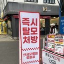 연세희망약국 | 종로탈모병원 성지 방문한 후기