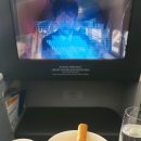 호놀룰루 - 서울 대한항공 프레스티지석 비즈니스 기내식 후기