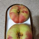 청송복숭아농장