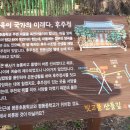 평동초교 이미지