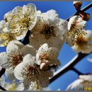 원동농장 이미지