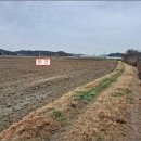 본오매송로 이미지