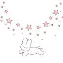 블룸인래쉬