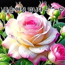 행복한아침 이미지