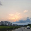 지니스안경 청주동남지구점 | 오늘도 청주에서 서울로