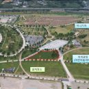 황산5일시장 아시아경제