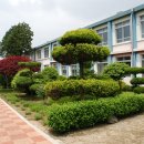 청라초등학교 이미지