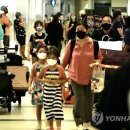 국제여행