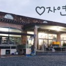 자연횟집 이미지