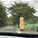 가포제2남성경로당 | 창원 마산 맛집 숯불직화 스테이크가 맛있는 가포 샤슬릭 데이트코스로 추천