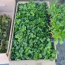 진주팜농약 이미지