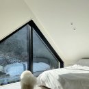 메리도그 이미지