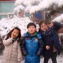 서전주유치원 이미지