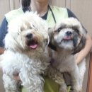 백설세탁소 이미지