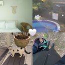 엘도라도 펜션 | 태안숙소 해루질 스팟 엘도라도펜션 태안바닷가펜션