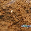 남부청국장 이미지