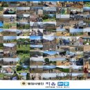 행정사법인 지음 이미지