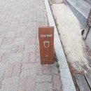 동해 발한동 숨겨진 디저트 맛집, 카페졸타(ZOLTAR) 내돈내산 후기