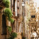 서울누가치과의원 이미지