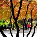 추억만들기 이미지