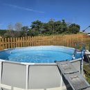 도그 팰리스 이미지