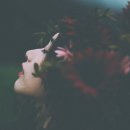 신라메디칼 이미지