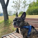 미남커피배다리더샵점 이미지