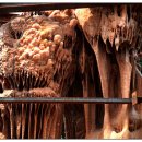 우석헌자연사박물관 이미지