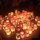 나무와열매어린이집 이미지