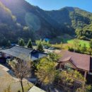 고라데이민박 이미지