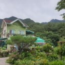 로즈마리팬션 이미지