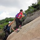 숲속의향기 이미지