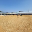 남악농장2 이미지