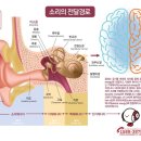 소리대장간청력관리센터 이미지