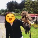 수일목장 이미지