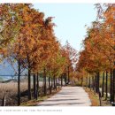 강변자전거길 2 이미지