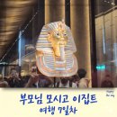 대죽리말무덤공중화장실 | 이집트 7일차: 이집트대박물관, 카이로, 피라미드 호텔 추천