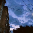 지트코리아 이미지