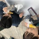 자농 - 36853 | [2026.05.18~2026.05.21] 삿뽀로 여행기🇯🇵