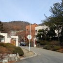 영보전자 이미지