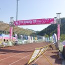 홍천읍생활체육공원 네이버블로그