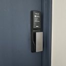 신방한라동백@ 2 이미지