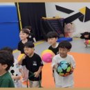 용인대대영태권도 이미지