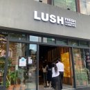 러쉬(LUSH) 이미지